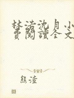 林浩沈月小说免费阅读全文封面