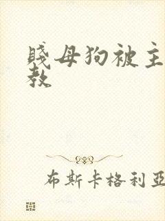 贱母狗被主人调教