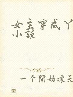 女主穿成丫鬟的小说