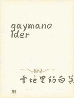 gaymanolder