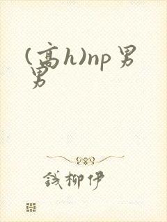 (高h)np男男