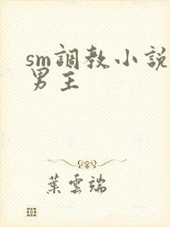 sm调教小说双男主