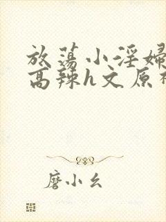 放荡小淫妇h文高辣h文原神