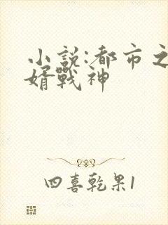 小说:都市之狂婿战神