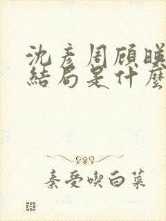沈彦周顾映瑜大结局是什么