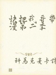 快把我哥带走动漫第二季