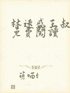 林远盛王叔许姨免费阅读封面