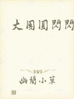 大团圆闪闪发光
