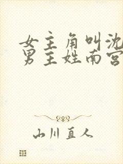 女主角叫沈清欢男主姓南宫