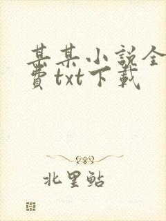 某某小说全文免费txt下载封面