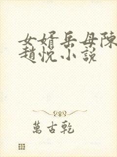 女婿岳母陈超,赵悦小说