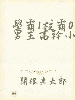 学霸1校霸0双男主高干小说
