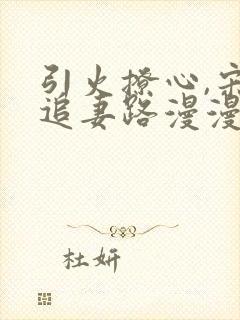 引火撩心,宋总追妻路漫漫免费阅读