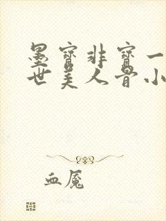 墨宝非宝一生一世美人骨小说
