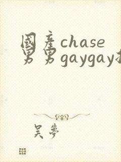 国产chase男男gaygay捆绑视频