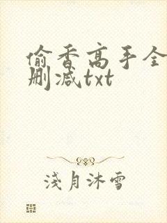 偷香高手全文无删减txt