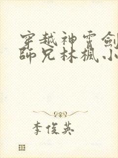 穿越神霄剑宗大师兄林枫小说