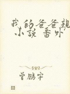 我的爸爸亲父女 小说 番外