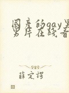 国产的gay男男片在线看