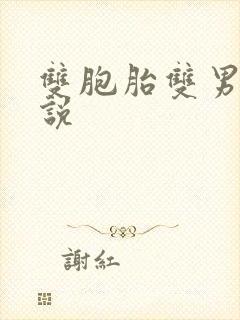 双胞胎双男主小说