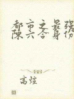 都市之最强狂兵陈六合身份