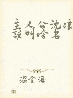 主人公沈浪的小说叫啥名封面