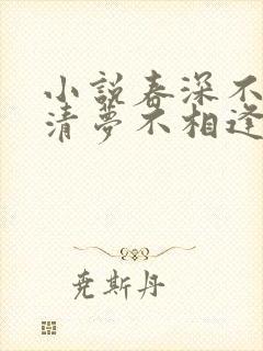 小说春深不归客清梦不相逢
