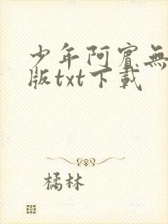 少年阿宾无删减版txt下载