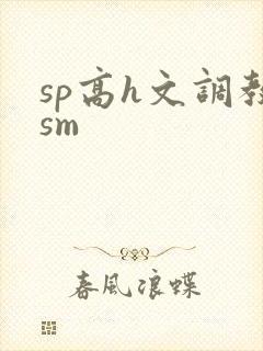 sp高h文调教sm