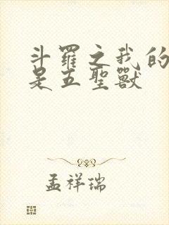 斗罗之我的武魂是五圣兽封面