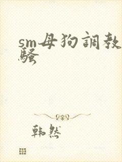 sm母狗调教发骚