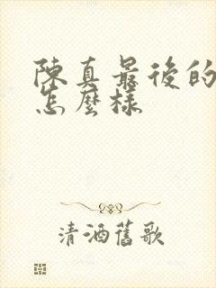 陈真最后的结局怎么样封面