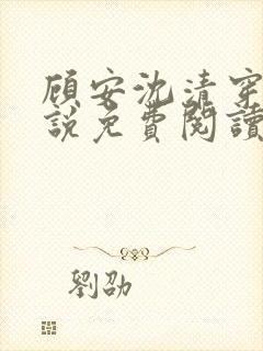顾安沈清穿越小说免费阅读封面
