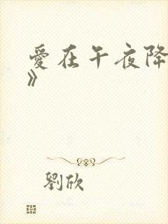 爱在午夜降临前》