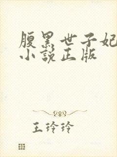 腹黑世子妃日常小说正版