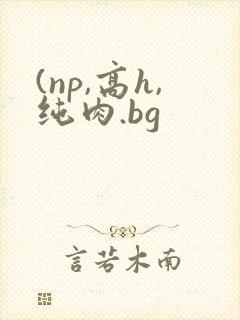 (np,高h,纯肉.bg封面