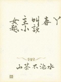 女主叫春丫的穿越小说封面