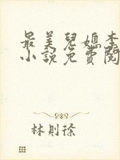 最美儿媳李小雅小说免费阅读最新章封面