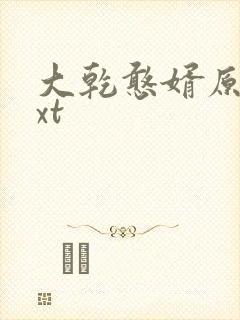 大乾憨婿原著txt