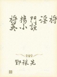 将杨门淫将穆桂英小说封面