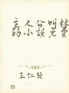 主人公叫林不悔的小说免费阅读