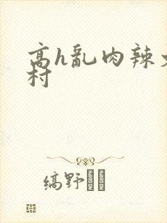 高h乱肉辣文乡村封面