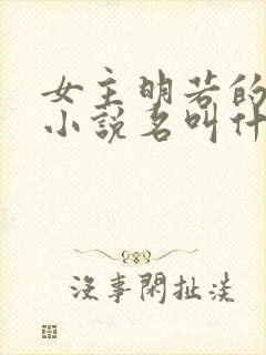 女主明若的穿越小说名叫什么