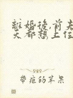 离婚后,前夫每天都想上位免费阅读