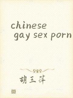 chinese gay sex porn封面