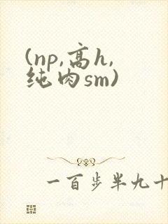 (np,高h,纯肉sm)