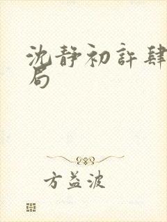 沈静初许肆大结局