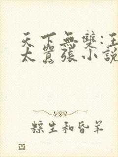 天下无双:王妃太嚣张小说阅读全文封面