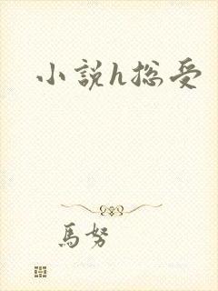小说h总受