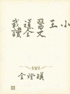 武道医王小说阅读全文